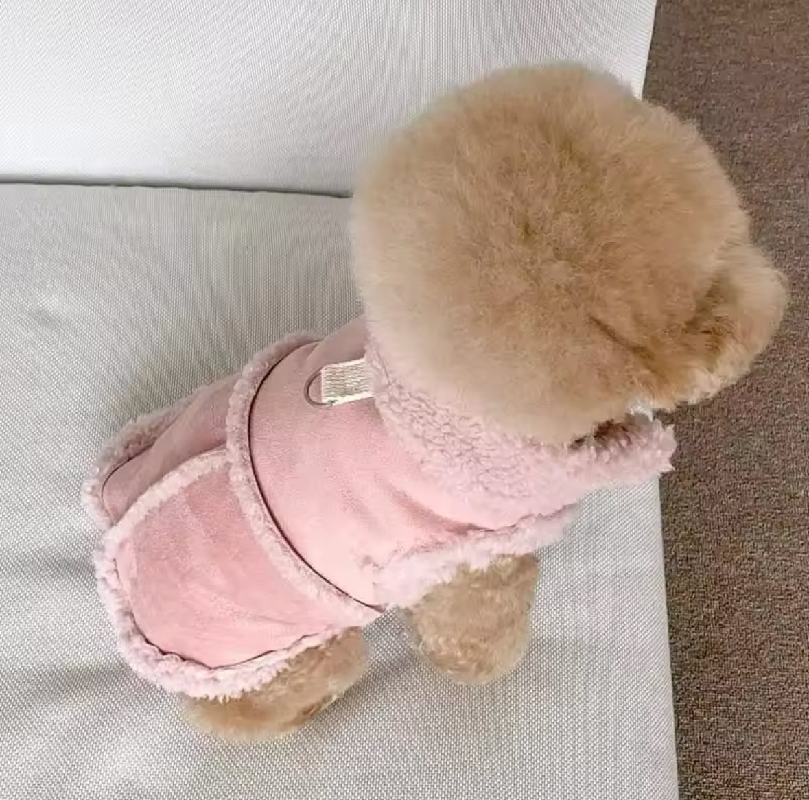 Fluffy Pup Jacket